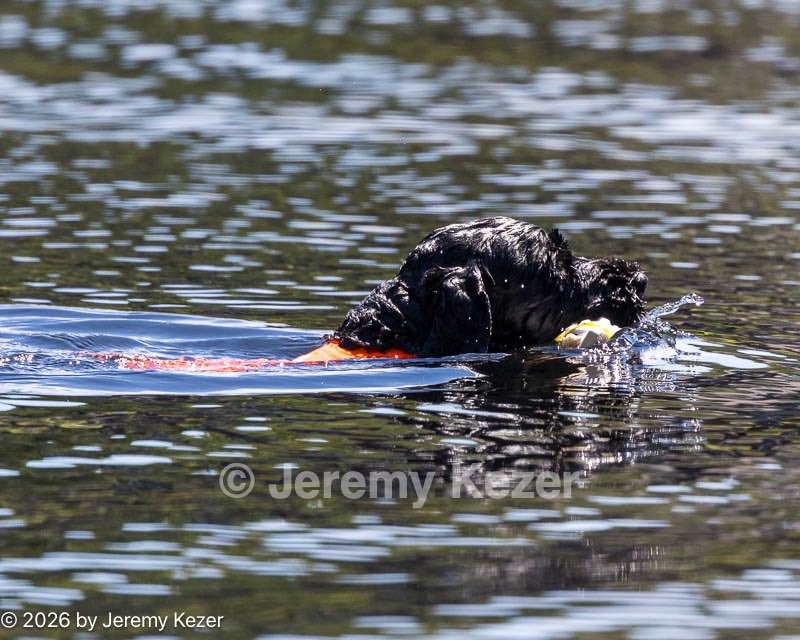 20260829-WWD-0109.jpg