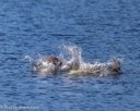 20260830-CWD-0012