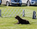 20260924-WC-0006