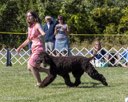 20260925-WC-0171