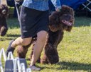 20260925-WC-0199