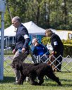 20260925-WC-0083