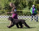 20260925-WC-0093