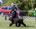 20260925-WC-0105