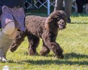 20260925-WC-0111
