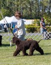 20260925-WC-0008