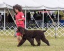20260926-WC-0177