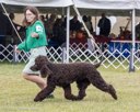 20260926-WC-0193