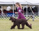 20260926-WC-0236