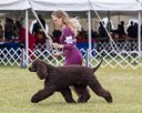 20260926-WC-0237