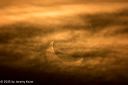 20210610-0006