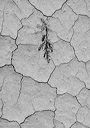 20241024-0173
