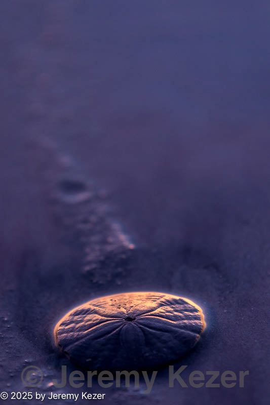 20201018-0006.jpg