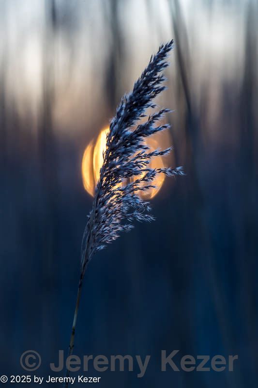 20201219-0028.jpg