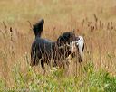 20141004-wcl-0008