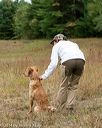 20141004-wcl-0057