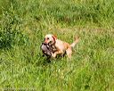 20160717-wcl-0389