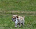 20250727-shl-0016