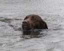 20250727-shw-0133