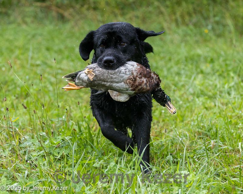 20250727-shw-0149.jpg