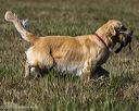 20251004-wcl-0005