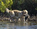 20251004-wcw-0001