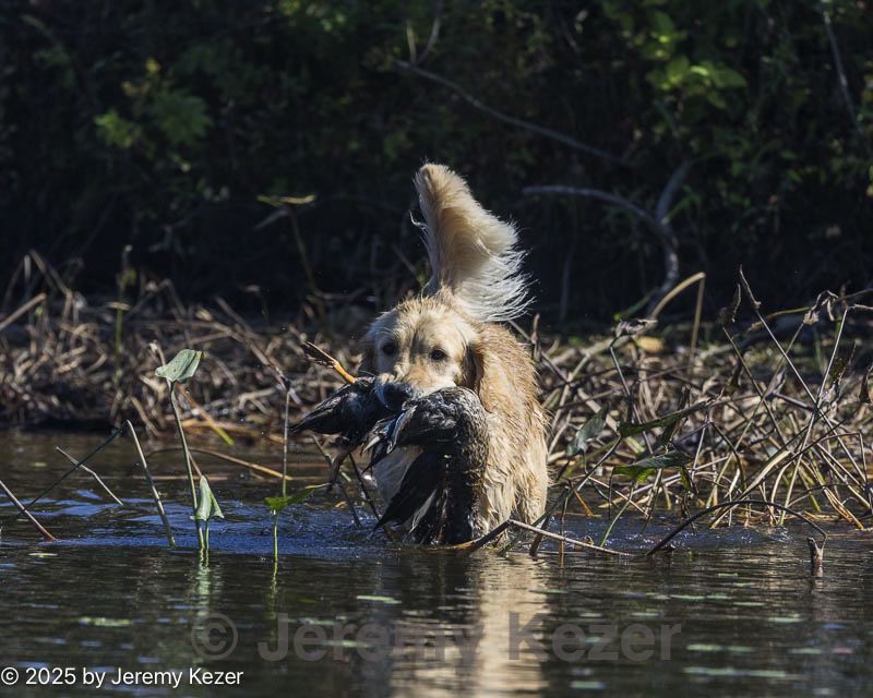 20251004-wcw-0003.jpg