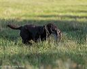 20251011-shl-0005