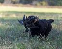 20251011-shl-0010