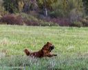 20251011-shl-0015