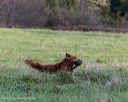 20251011-shl-0016
