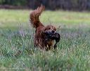 20251011-shl-0020