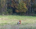 20251011-shl-0023
