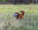 20251011-shl-0024