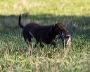 20251011-shl-0036