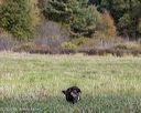 20251011-shl-0118