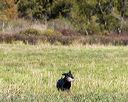 20251011-shl-0192