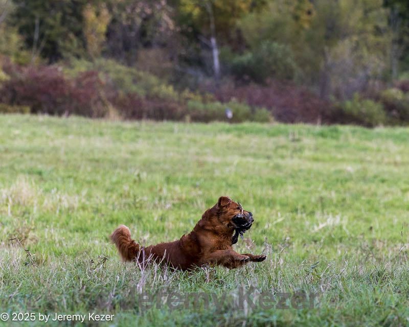 20251011-shl-0015.jpg