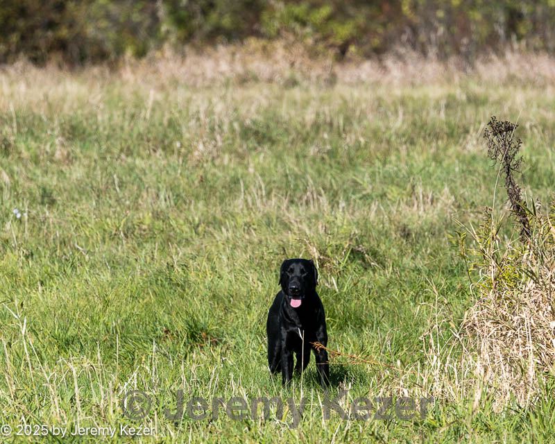 20251011-shl-0200.jpg