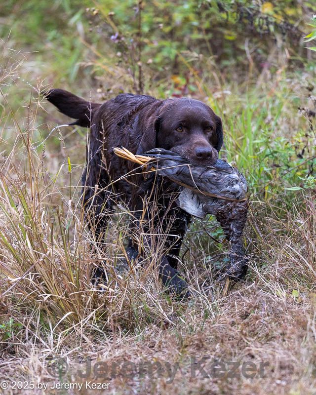 20251011-shw-0279.jpg