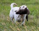 20251012-jhl-0050