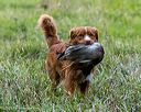 20251012-jhl-0180