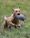 20251012-jhl-0198