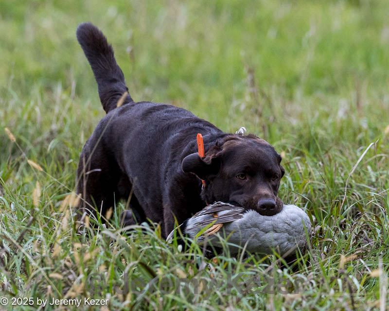 20251012-jhl-0032.jpg