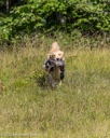 20260725-JHL-0179