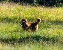20260725-JHL-0197