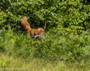 20260725-JHL-0204
