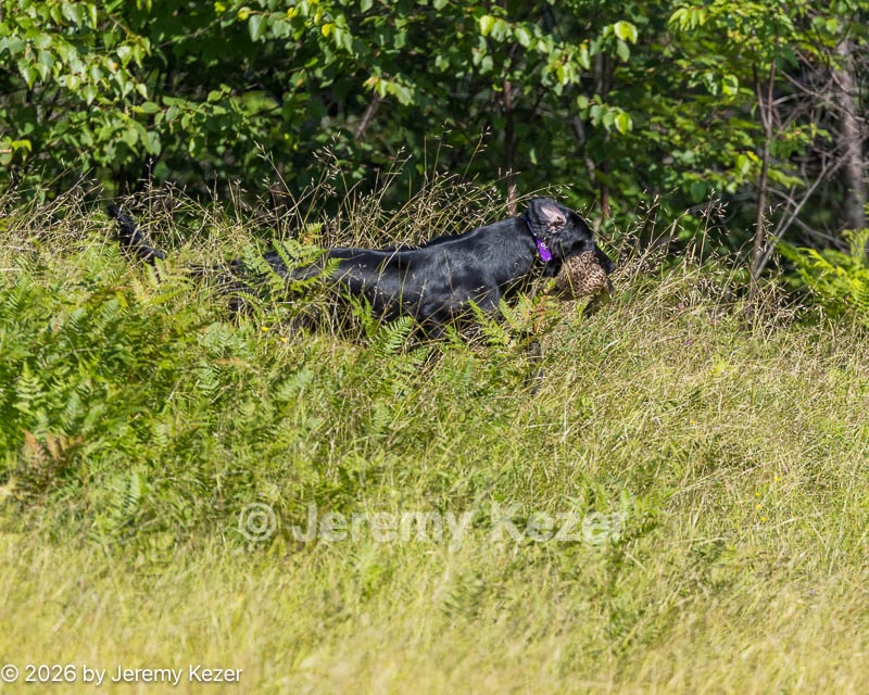 20260725-JHL-0117.jpg