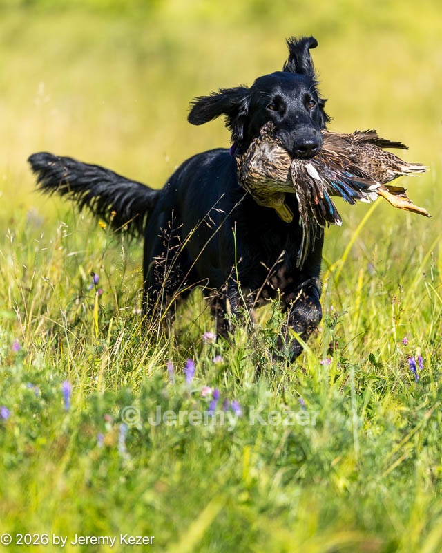 20260725-JHL-0123.jpg