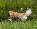 20260725-JHW-0035